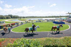 Port Macquarie Race Day<div>Monday 19th of May 2025</div>