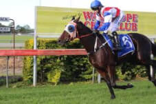 <div>Wauchope Cup Race Meeting. Sunday 15th June 2025</div>