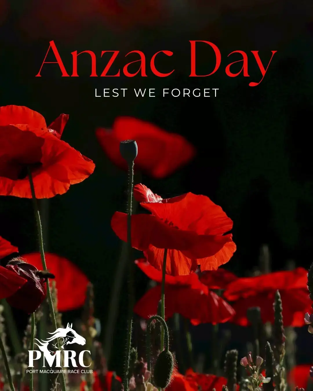Lest We Forget 🌺

Today we honour and remember the brave men and women who have served and sacrificed for our country.

Their courage, mateship, and spirit will never be forgotten.