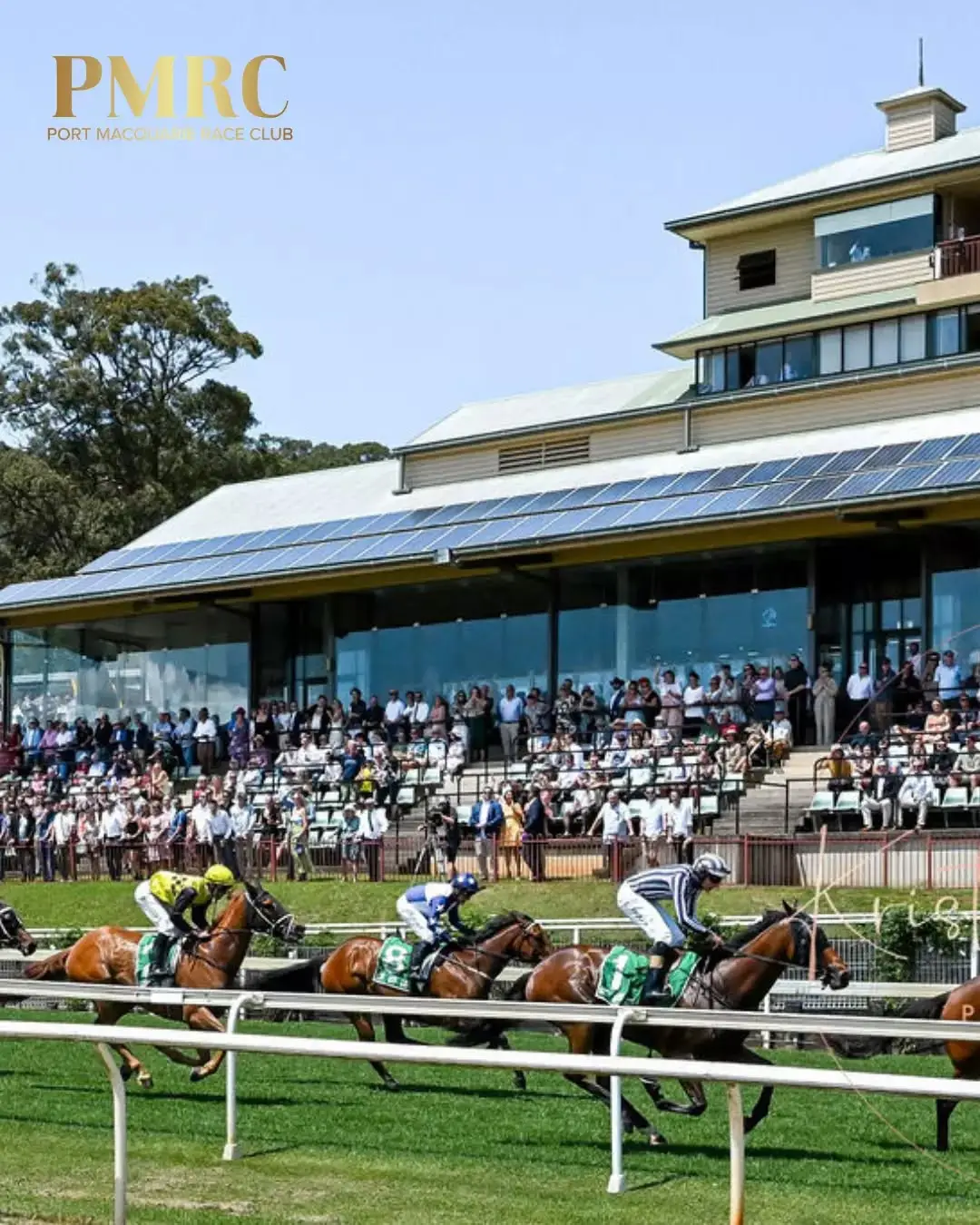 🏇 There’s nothing quite like race day at Port Macquarie!

From the excitement on the track to the atmosphere in the grandstand, every race meeting delivers an unforgettable day out.

Gather your friends, enjoy great hospitality, and experience country racing at its finest.

📅 Check out our upcoming race days - link in first comment!

#PMRC #PortMacquarieRaceClub #CountryRacingNSW #RaceDay #Trackside